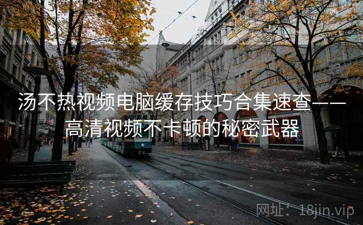 汤不热视频电脑缓存技巧合集速查——高清视频不卡顿的秘密武器
