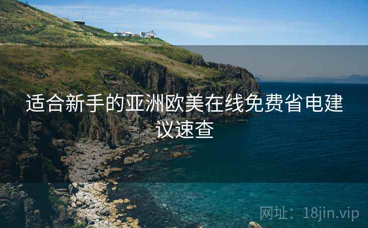 适合新手的亚洲欧美在线免费省电建议速查