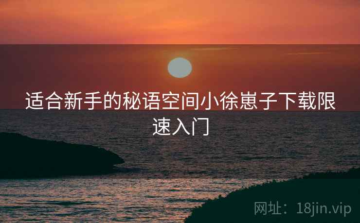 适合新手的秘语空间小徐崽子下载限速入门