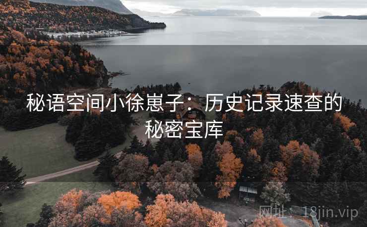 秘语空间小徐崽子：历史记录速查的秘密宝库