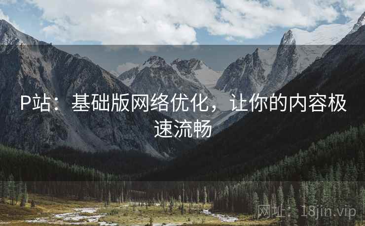 P站：基础版网络优化，让你的内容极速流畅