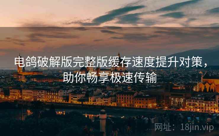电鸽破解版完整版缓存速度提升对策，助你畅享极速传输