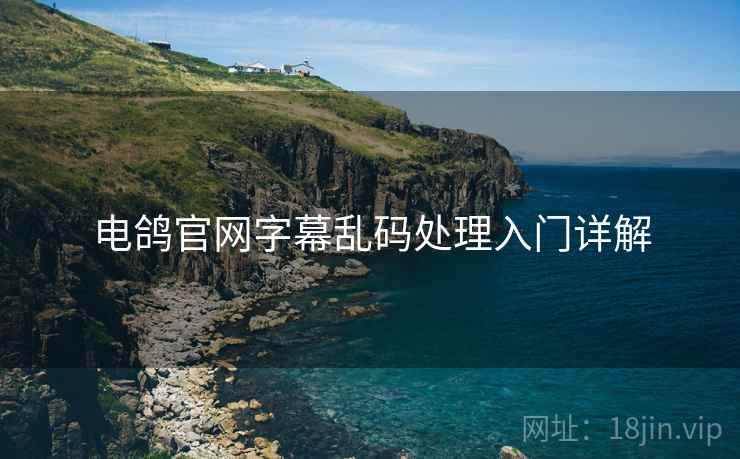 电鸽官网字幕乱码处理入门详解