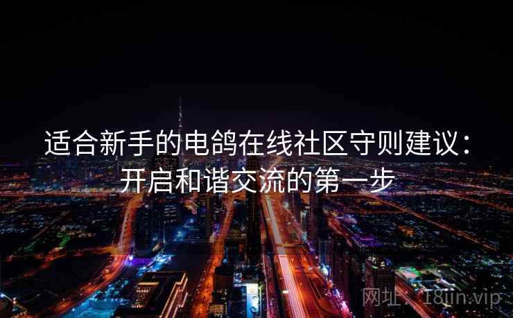 适合新手的电鸽在线社区守则建议：开启和谐交流的第一步