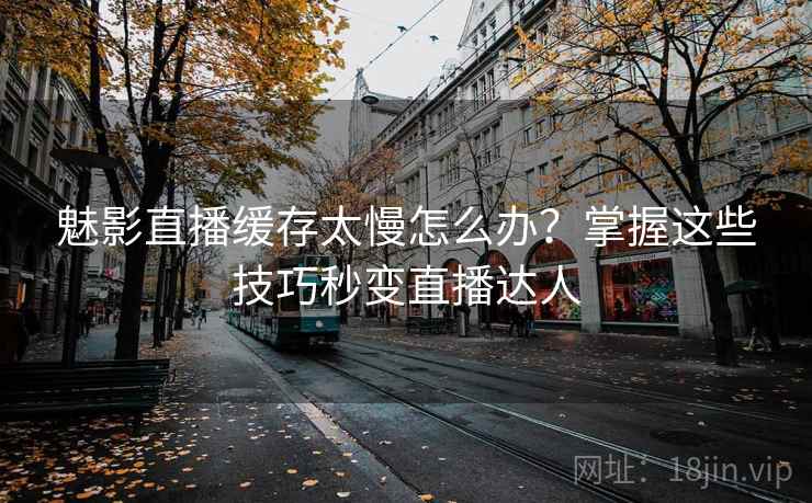 魅影直播缓存太慢怎么办？掌握这些技巧秒变直播达人
