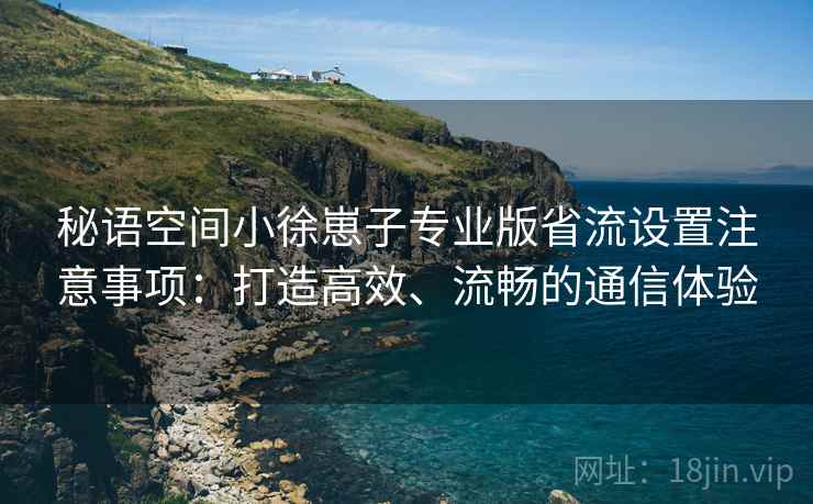 秘语空间小徐崽子专业版省流设置注意事项：打造高效、流畅的通信体验