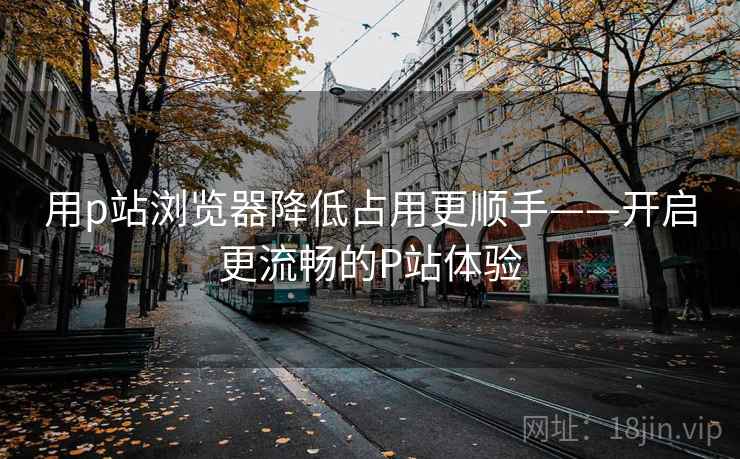 用p站浏览器降低占用更顺手——开启更流畅的P站体验