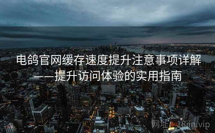 电鸽官网缓存速度提升注意事项详解——提升访问体验的实用指南