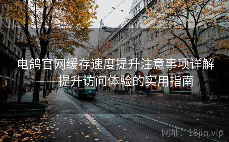 电鸽官网缓存速度提升注意事项详解——提升访问体验的实用指南