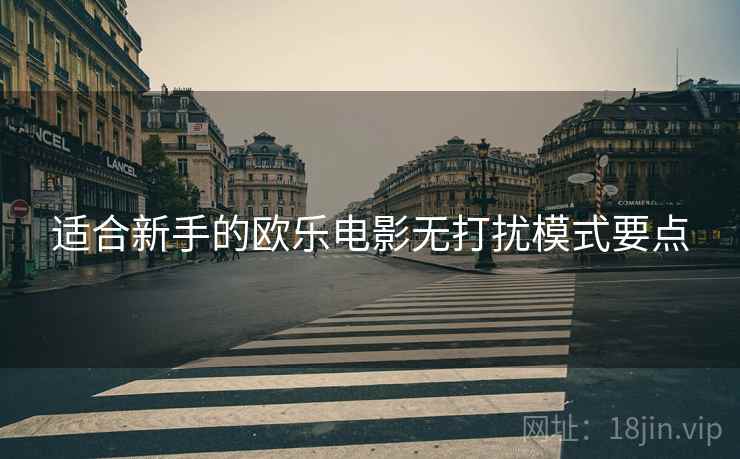 适合新手的欧乐电影无打扰模式要点