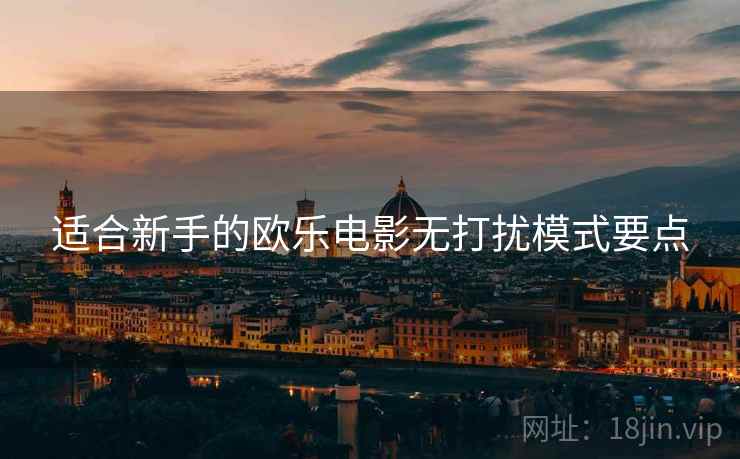 适合新手的欧乐电影无打扰模式要点