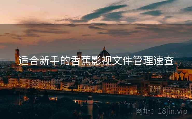 适合新手的香蕉影视文件管理速查