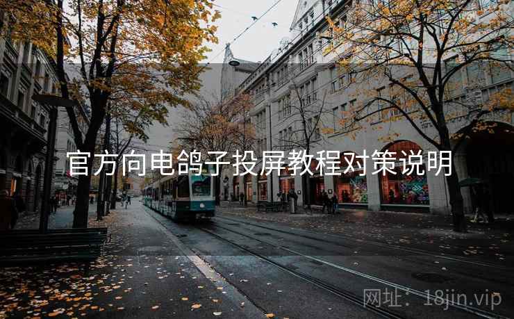 官方向电鸽子投屏教程对策说明