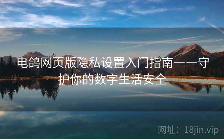 电鸽网页版隐私设置入门指南――守护你的数字生活安全