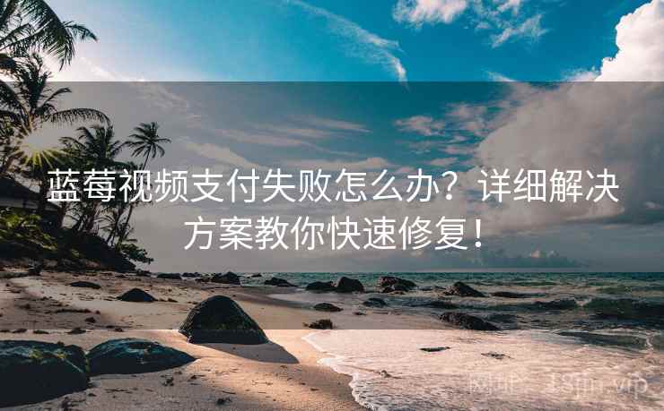 蓝莓视频支付失败怎么办？详细解决方案教你快速修复！