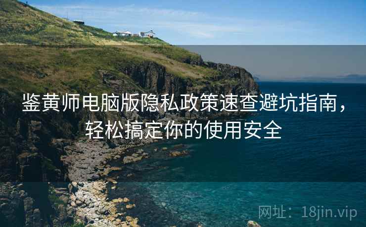 鉴黄师电脑版隐私政策速查避坑指南，轻松搞定你的使用安全