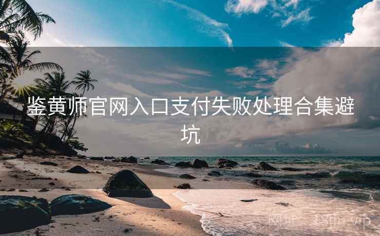 鉴黄师官网入口支付失败处理合集避坑