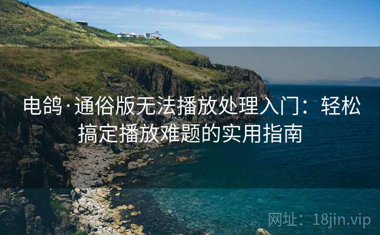 电鸽·通俗版无法播放处理入门：轻松搞定播放难题的实用指南