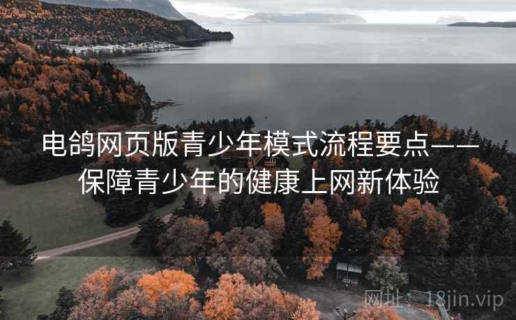 电鸽网页版青少年模式流程要点——保障青少年的健康上网新体验