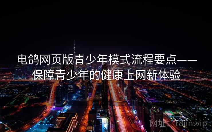 电鸽网页版青少年模式流程要点——保障青少年的健康上网新体验